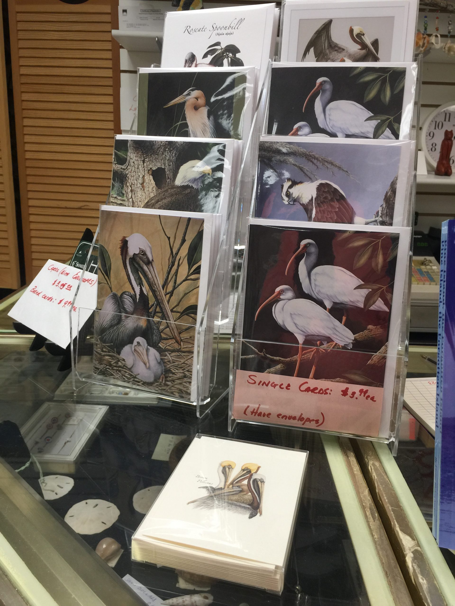 Bird cards in the Museum of the Islands Gift Shop | Museum of the Islands
